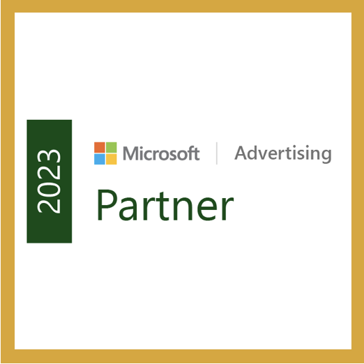 microsoft partner2
